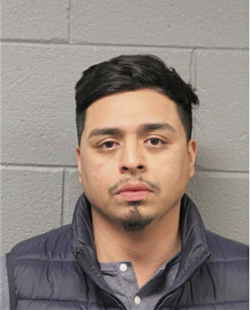 CARLOS A MEDINA, Cook County, Illinois