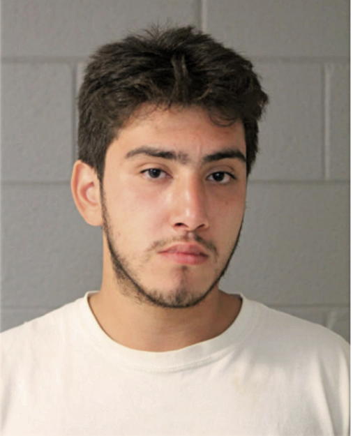 JULIAN ONATE, Cook County, Illinois