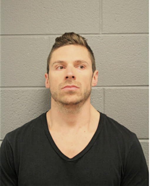 DAVID W ORLOWSKI, Cook County, Illinois