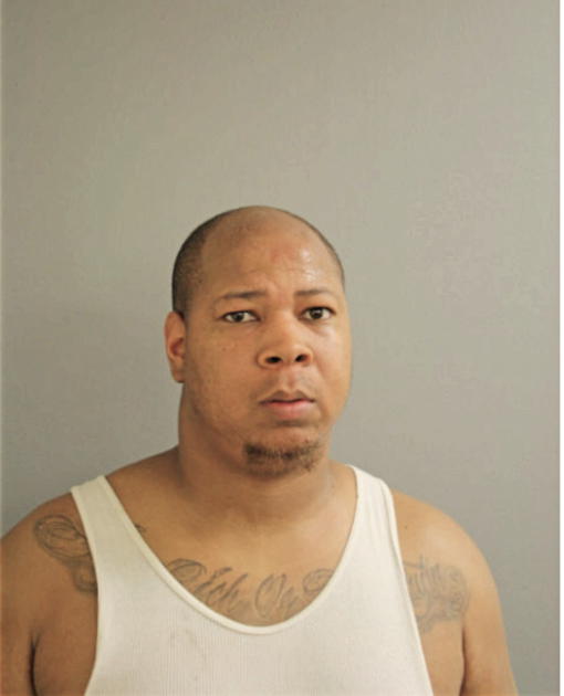 DAVID J PALMER, Cook County, Illinois