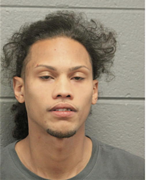 ARIEL PELLOT-BERMUDEZ, Cook County, Illinois