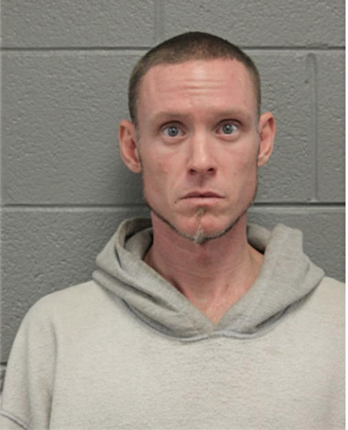 BRYAN E SCHMIDT, Cook County, Illinois