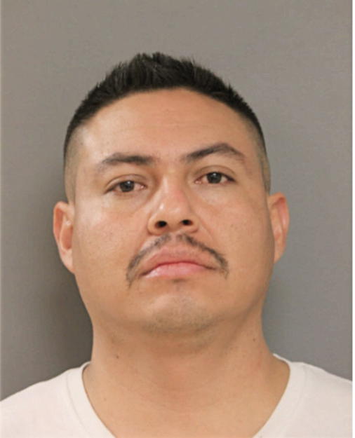 ISMAEL VILLAGOMEZ, Cook County, Illinois
