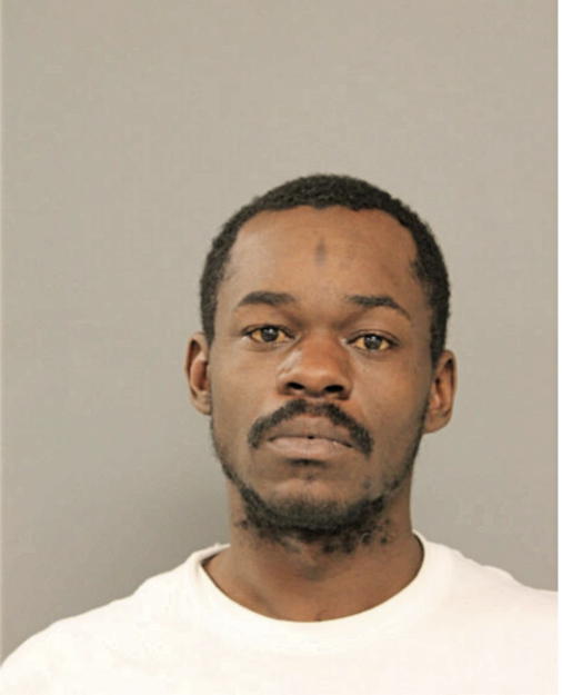 ANTHONY K WILLIAMS, Cook County, Illinois