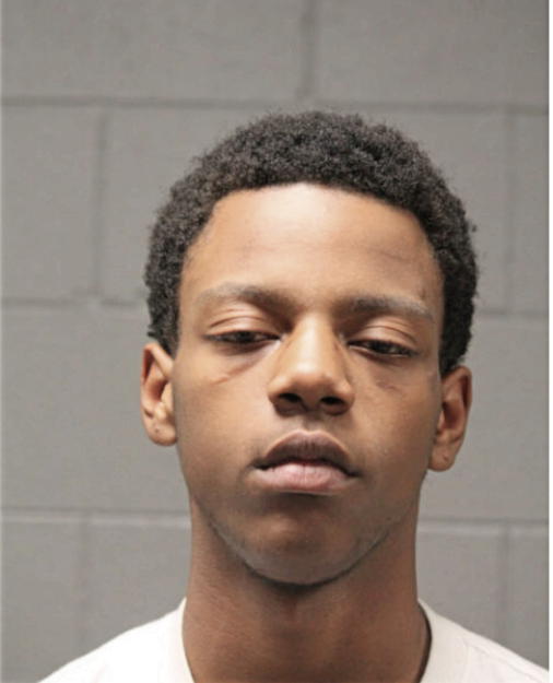 BRANDAN TY ANDERSON, Cook County, Illinois