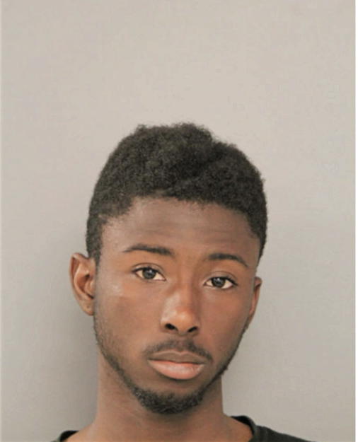 CHRISTOPHER L BURTON, Cook County, Illinois