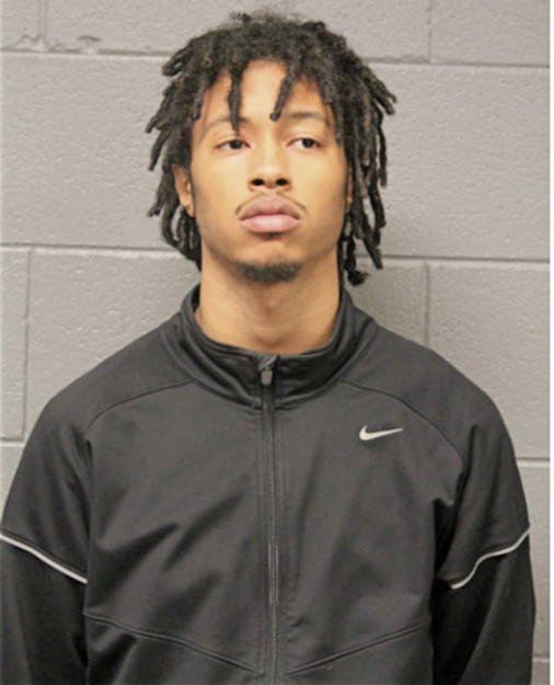 RYAN A DAVIS, Cook County, Illinois