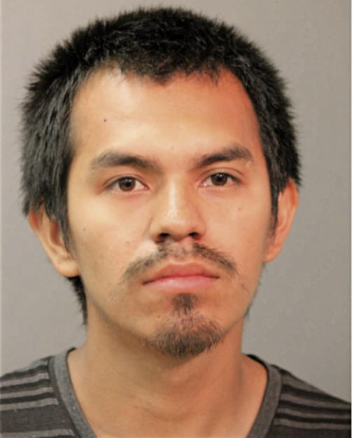 GERARDO FLORES, Cook County, Illinois