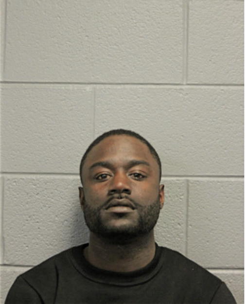 LARRY O FORD, Cook County, Illinois