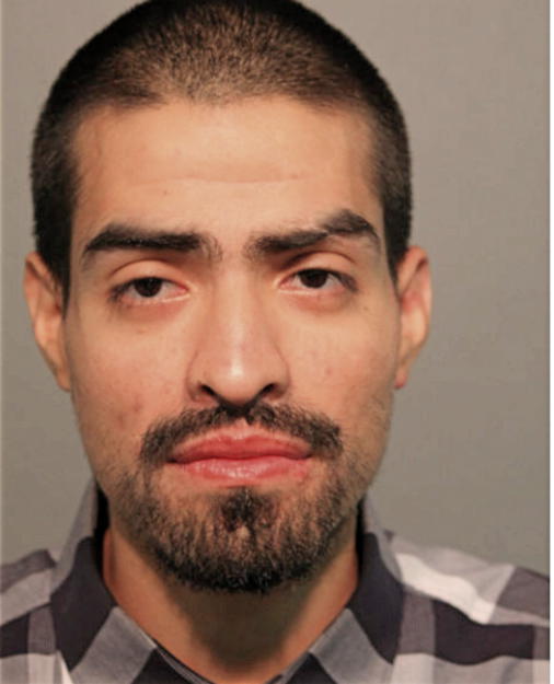 ROLANDO FRAUSTO, Cook County, Illinois