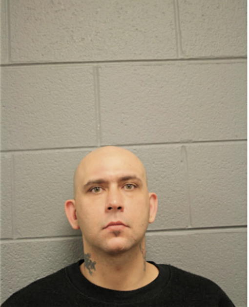 ROBERT E GALL, Cook County, Illinois