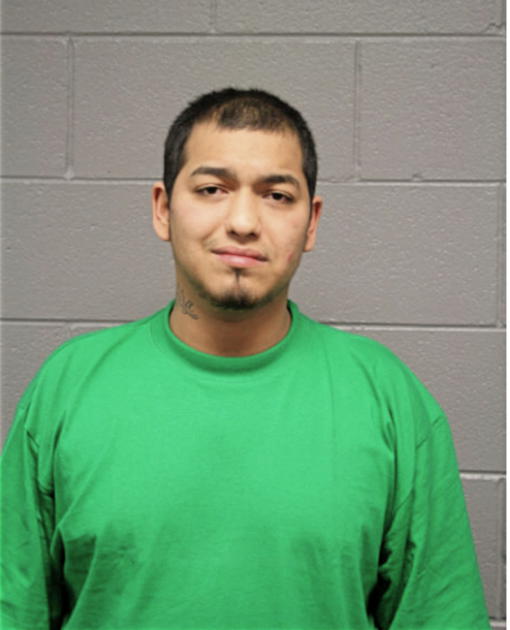 ERICK M GALVEZ, Cook County, Illinois
