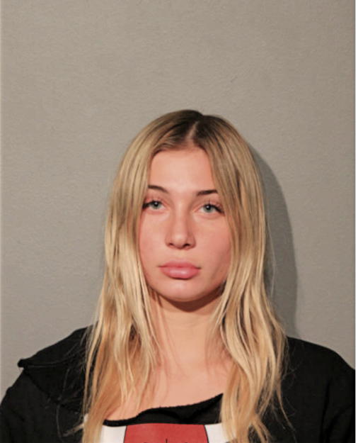 MELANIE LYNNE GOLDMAN, Cook County, Illinois