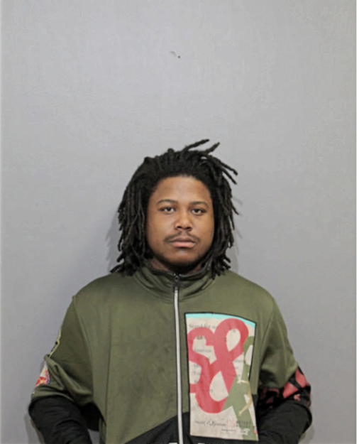BRIAN L HENDERSON, Cook County, Illinois