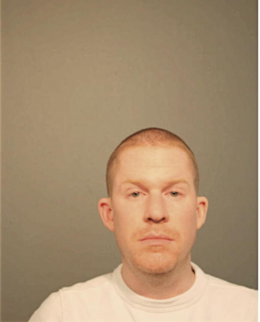 BRYAN D KING, Cook County, Illinois
