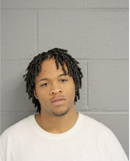 SHAWN J LEE, Cook County, Illinois