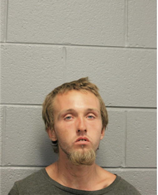 STEVEN A LEESON, Cook County, Illinois