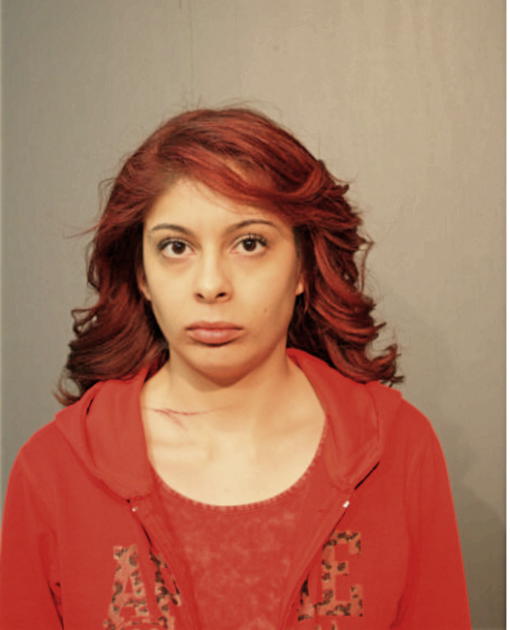 VENESSA METOYER, Cook County, Illinois