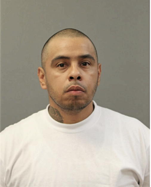 SERGIO ORTEGA, Cook County, Illinois