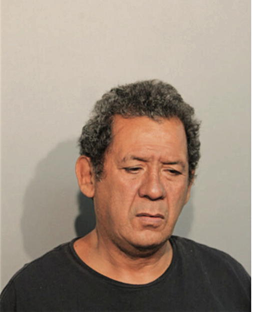JOSEPH V PALAMARA, Cook County, Illinois