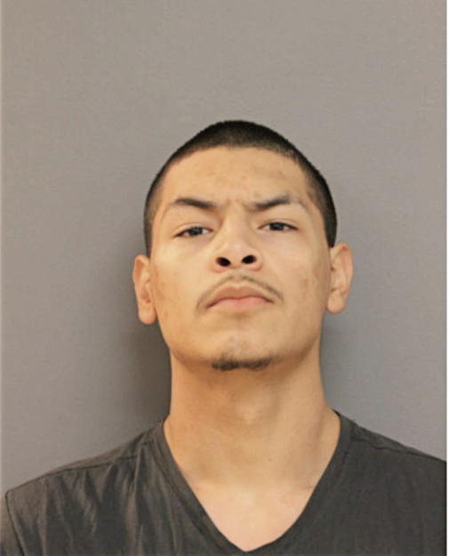 ADRIAN A RIVAS, Cook County, Illinois