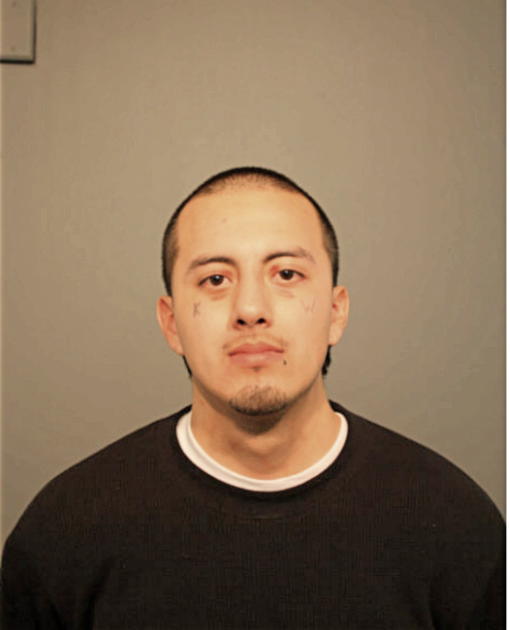 JULIO ROJAS, Cook County, Illinois