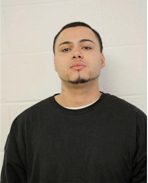 CARLOS D ROMAN, Cook County, Illinois