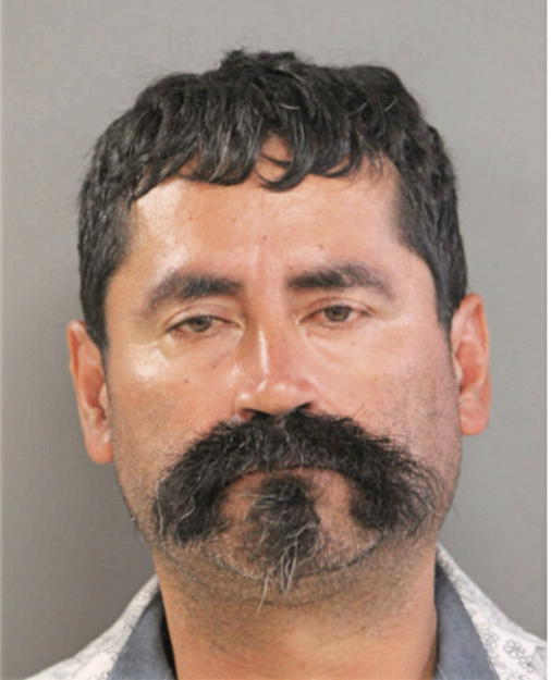 RENE ROSALES, Cook County, Illinois