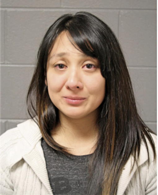 DIANA SALAZAR, Cook County, Illinois