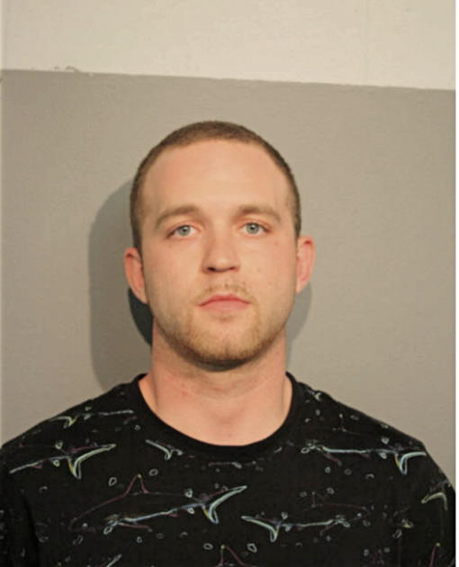 MICHAEL A BURNS, Cook County, Illinois