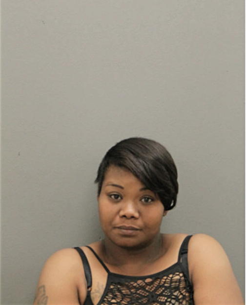 TIERRA S CALHOUN, Cook County, Illinois