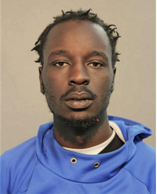 DENNIS O ELONGE, Cook County, Illinois