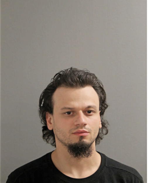 WILLIAM P HERNANDEZ, Cook County, Illinois