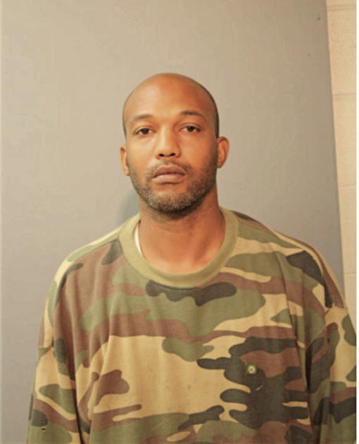 BRIAN L HUDSON, Cook County, Illinois