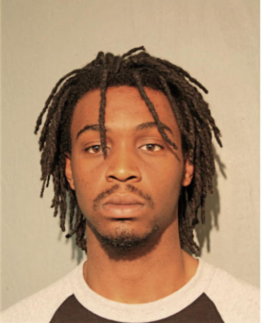 ARIEUS L FITCH, Cook County, Illinois