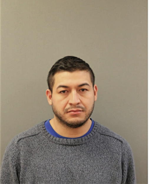 LEONEL LARA-FLORES, Cook County, Illinois