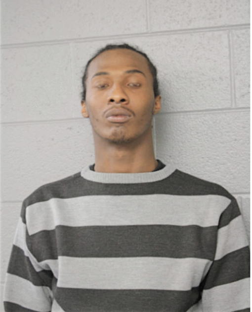 TERRY D LEE, Cook County, Illinois