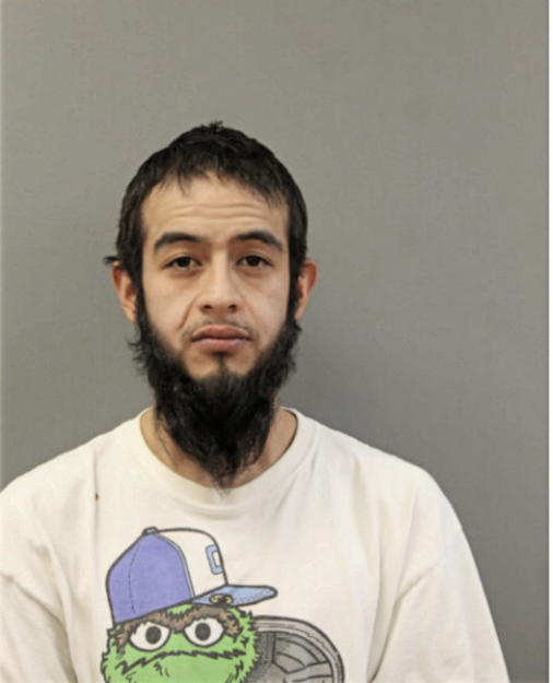 EDUARDO MANZANARES, Cook County, Illinois