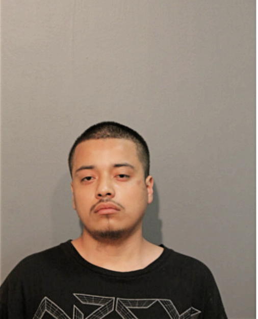 HECTOR MENDINO, Cook County, Illinois