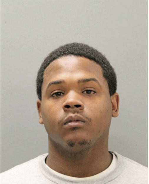 BRANDON G MERKSON, Cook County, Illinois