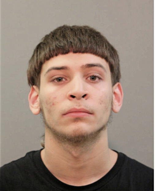 DANIEL J MIRABILE, Cook County, Illinois