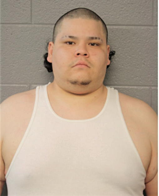 PEDRO L MONTALVO, Cook County, Illinois