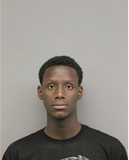 ANDREW NESBIT, Cook County, Illinois