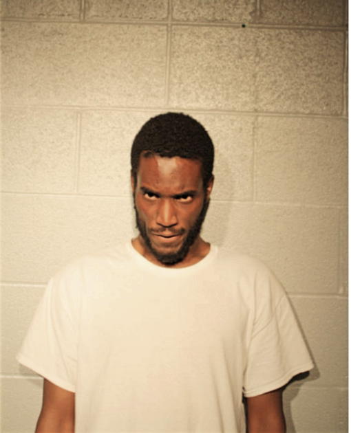 LAMAR S NORFLEET, Cook County, Illinois