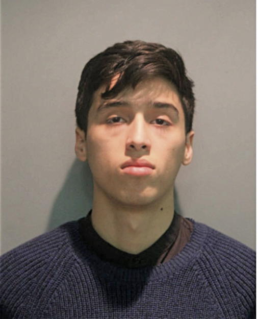 ERICK U PEREZ, Cook County, Illinois