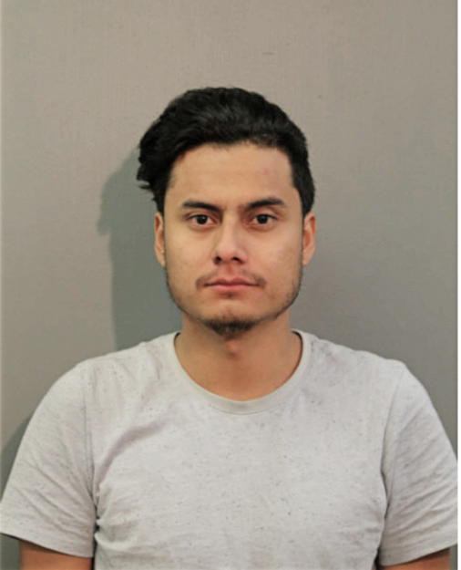 GILBERTO PUEBLA, Cook County, Illinois