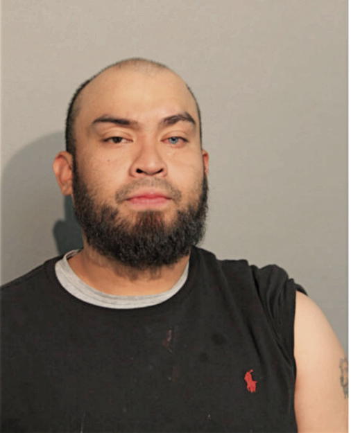 LOUIS REGULES, Cook County, Illinois