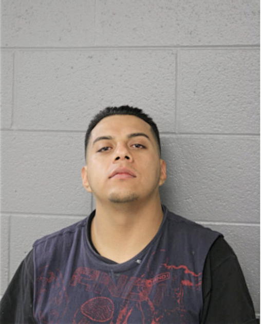 ERIC REPIZO, Cook County, Illinois
