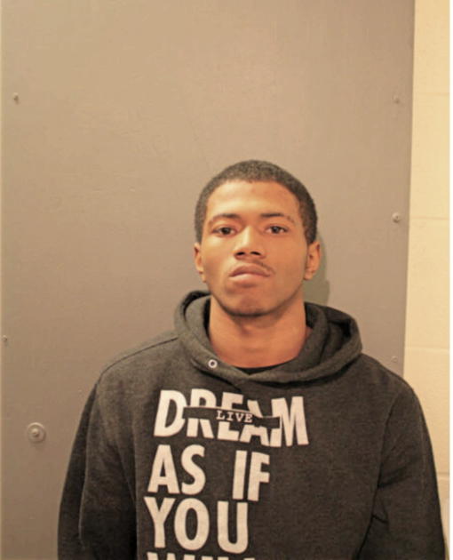 WAYNE Q SLATER, Cook County, Illinois