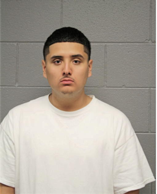ANTHONY TORRES, Cook County, Illinois